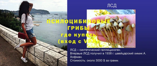 мдпв Инсар