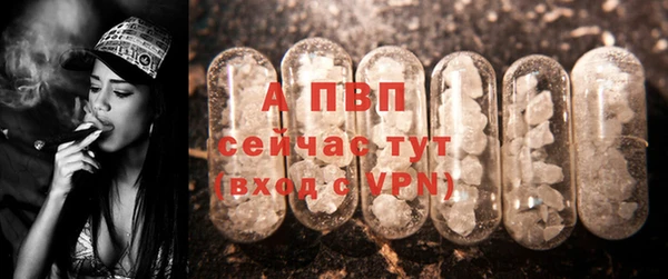 не бодяженный Каменногорск