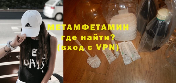 мдпв Инсар