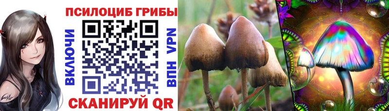 Галлюциногенные грибы Psilocybine cubensis  купить наркотик  Унеча 
